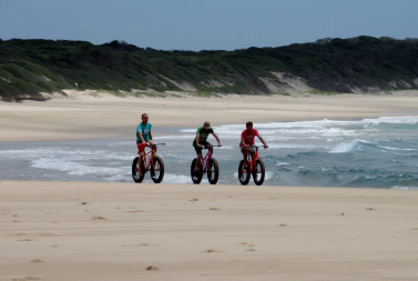 Activities_images-fatbike
